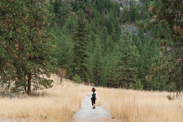 Hiking in nature